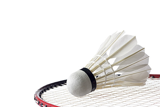 无疑是在网 无疑是在网