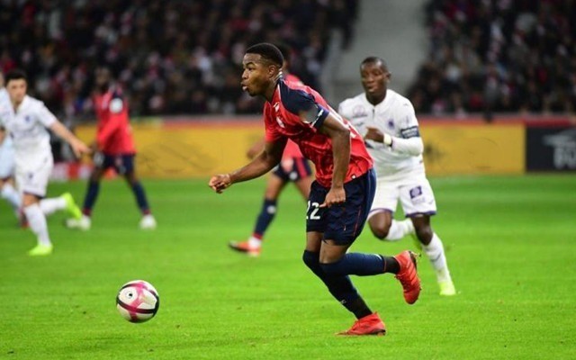 上海队的明 上海队的明